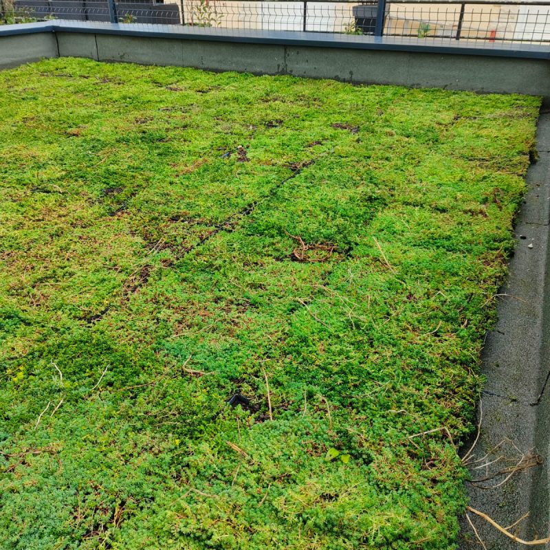 WhatsApp Image 2025-09-13 à 11.30.13_fc19da6b