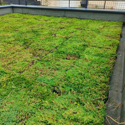 WhatsApp Image 2025-09-13 à 11.30.13_fc19da6b